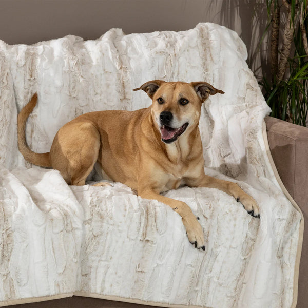 Brentwood Originals Oversized Waterproof Pet Blanket and Furniture Protector