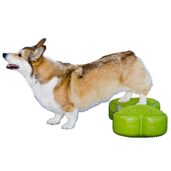 FitPaws K9 FitBone and Duo Disk Inflatable Bundle