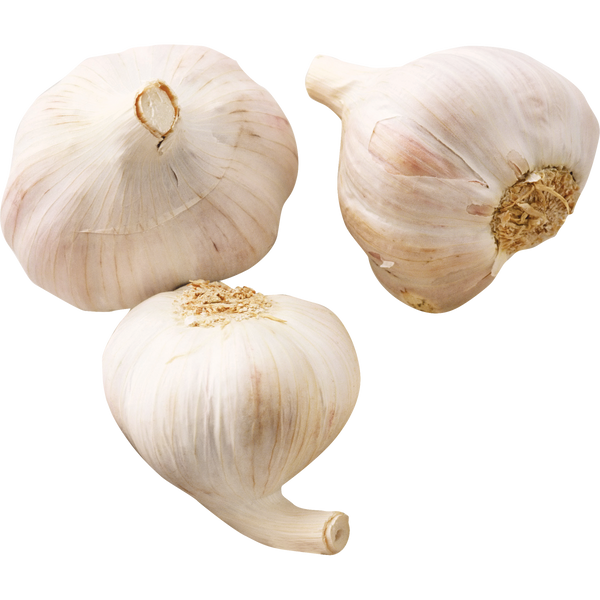 Colossal Garlic 2 lbs