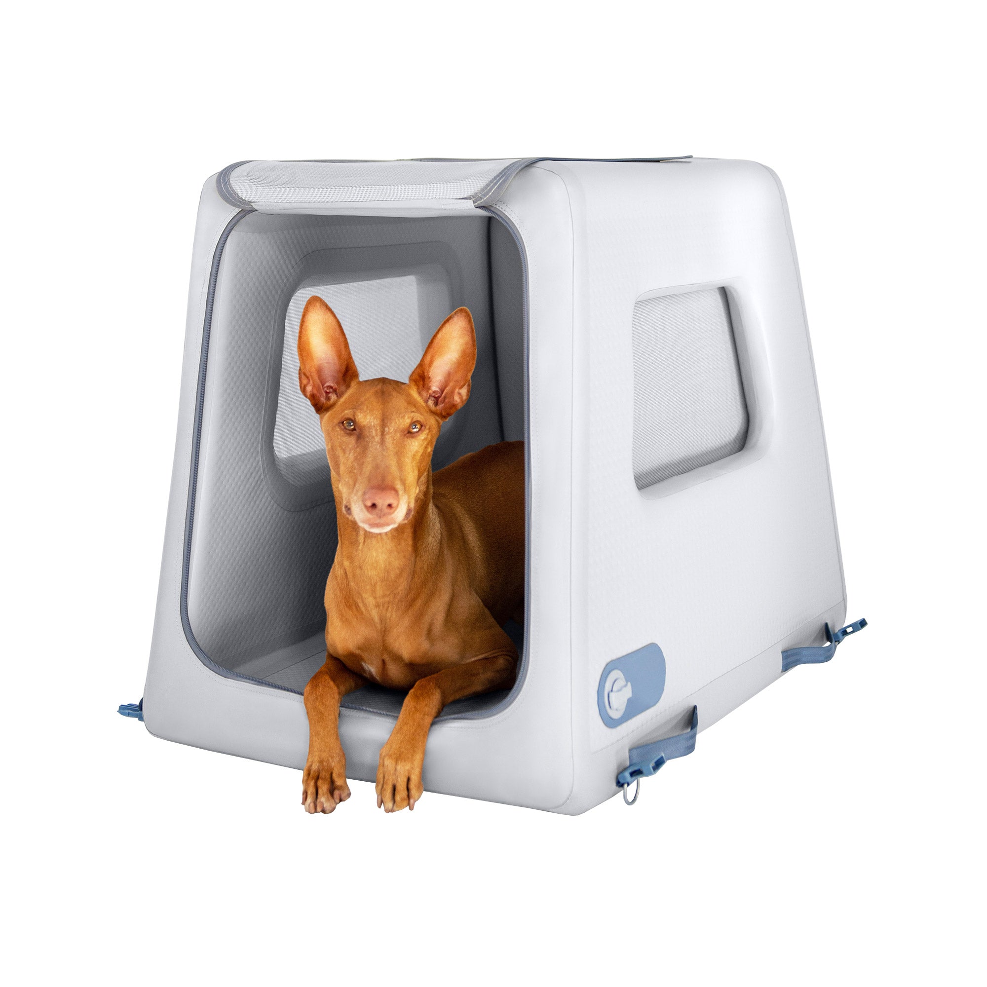 Enventur Inflatable Travel Dog Kennel