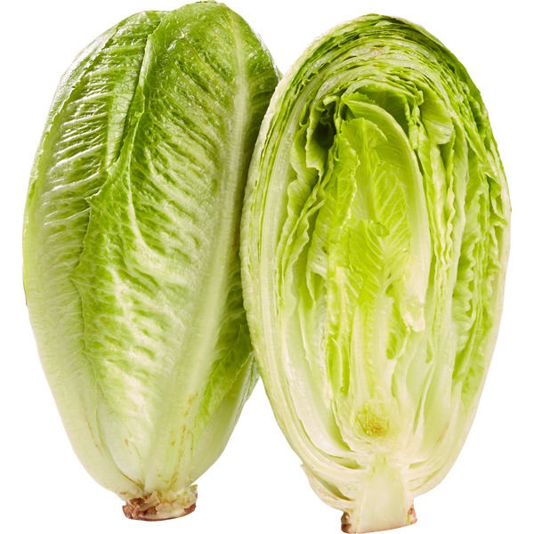 Romaine Lettuce Hearts, 6 ct