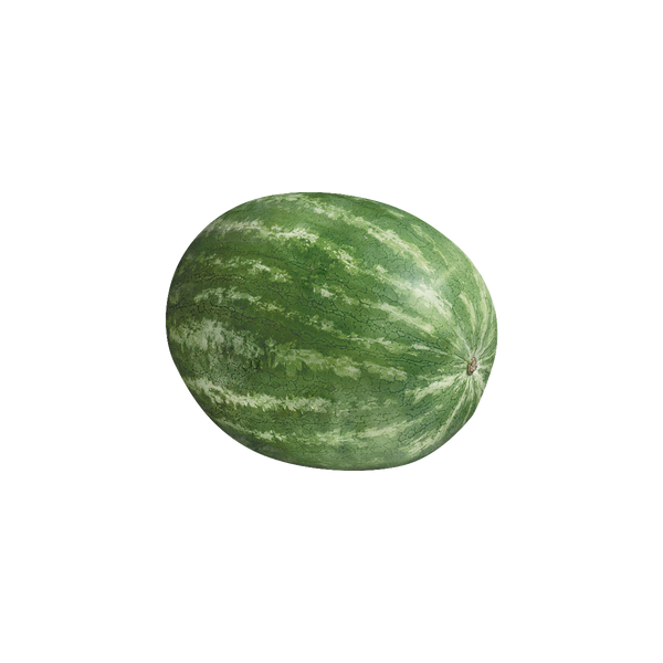 Jumbo Seedless Watermelon