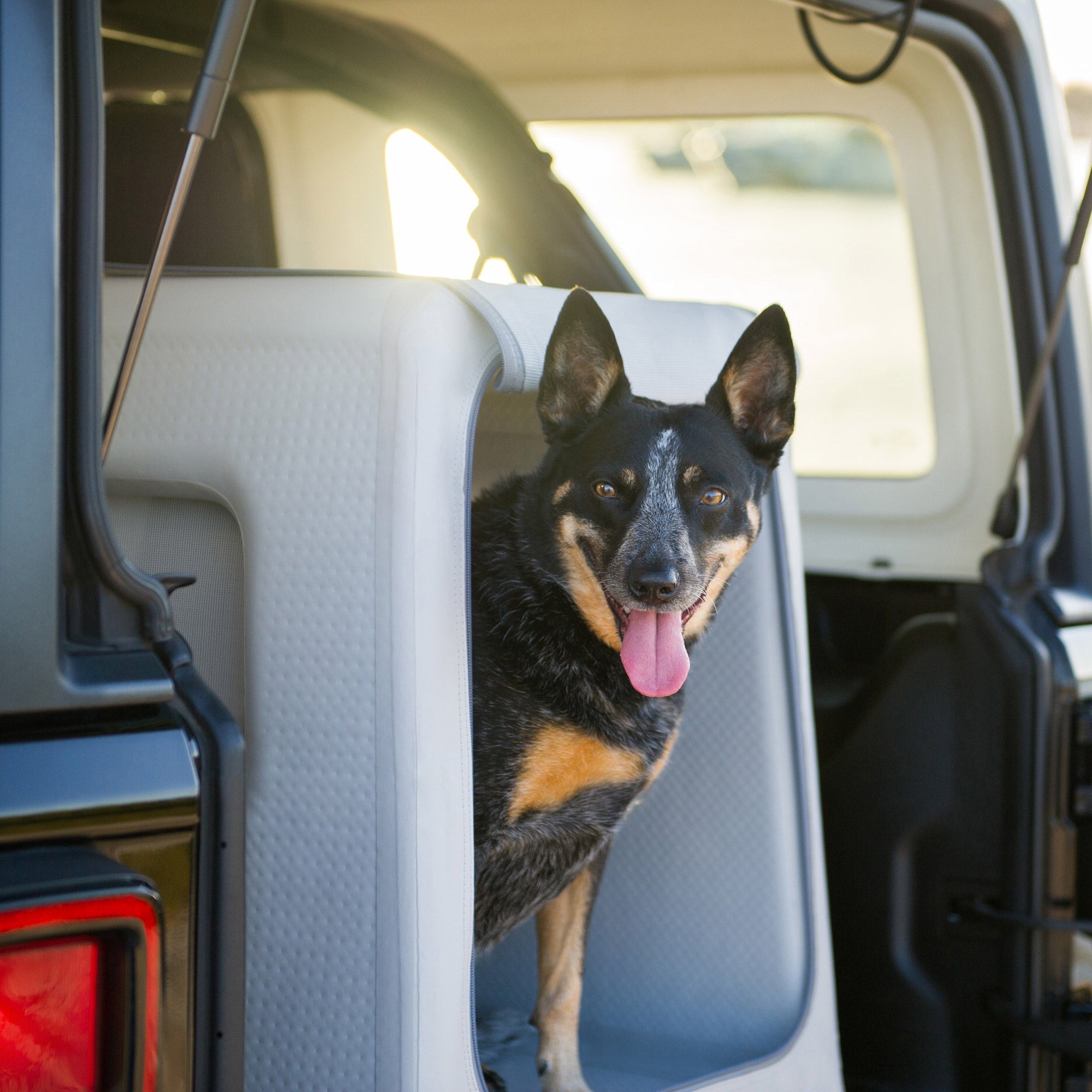 Enventur Inflatable Travel Dog Kennel