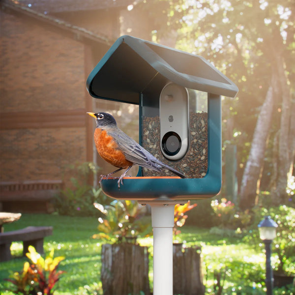 Blue Solar Smart Bird Feeder 3-in-1 Nutrition Set