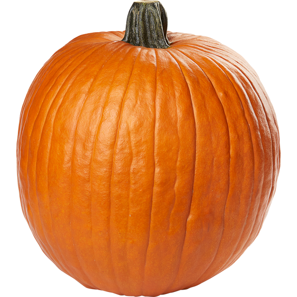 Jumbo Pumpkin