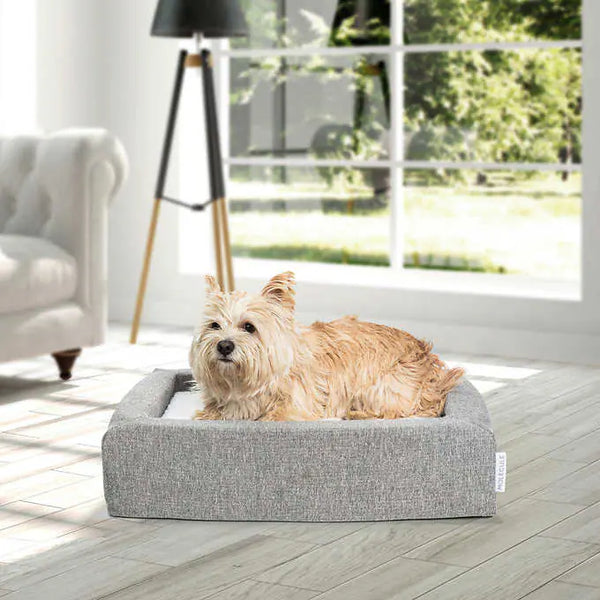 Molecule Air-engineered Dog Bed, Small