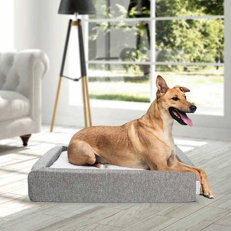 Molecule Air-engineered Dog Bed, Medium