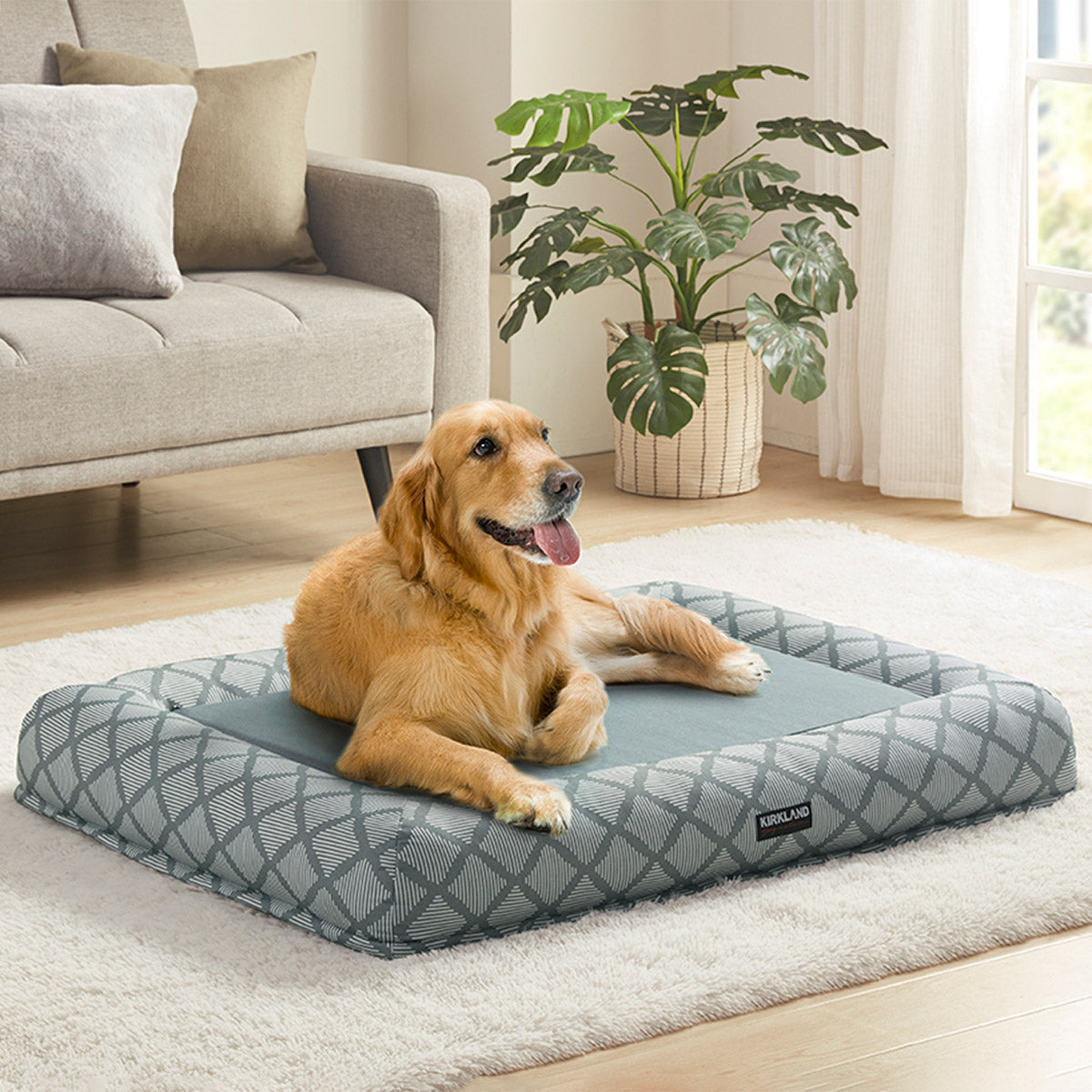 Kirkland Signature 2-in-1 Bolster Pet Bed Image