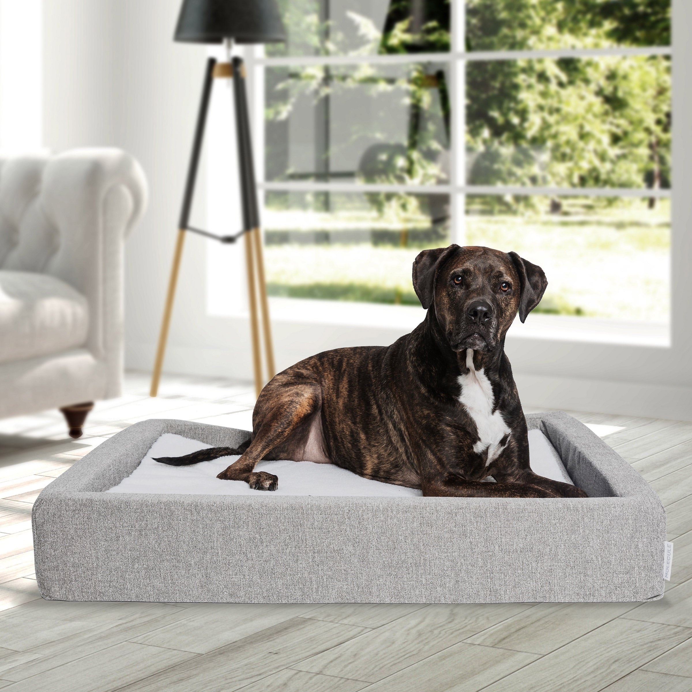 Molecule Air-Engineered Dog Bed, Large Image