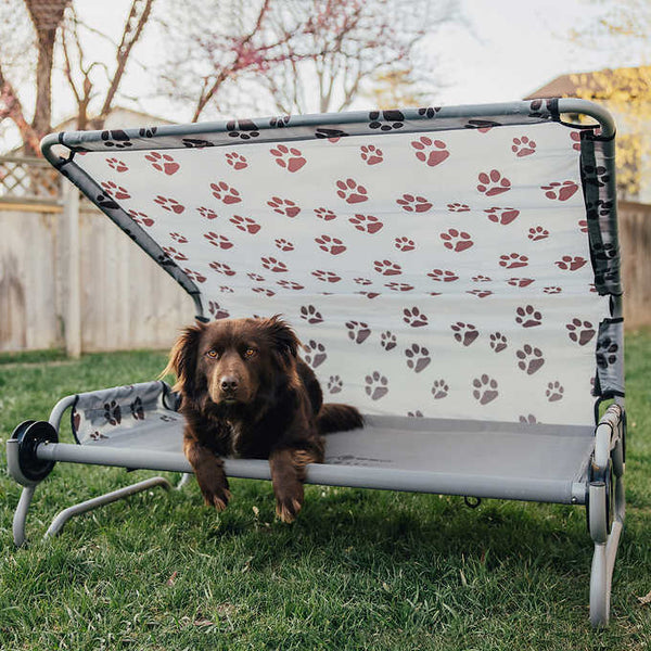 Disc-O-Bed Dog Bed with Foot Pads