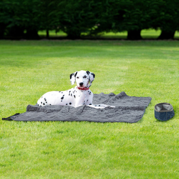 Travel Pet Throw With Collapsible Bowl Set Image