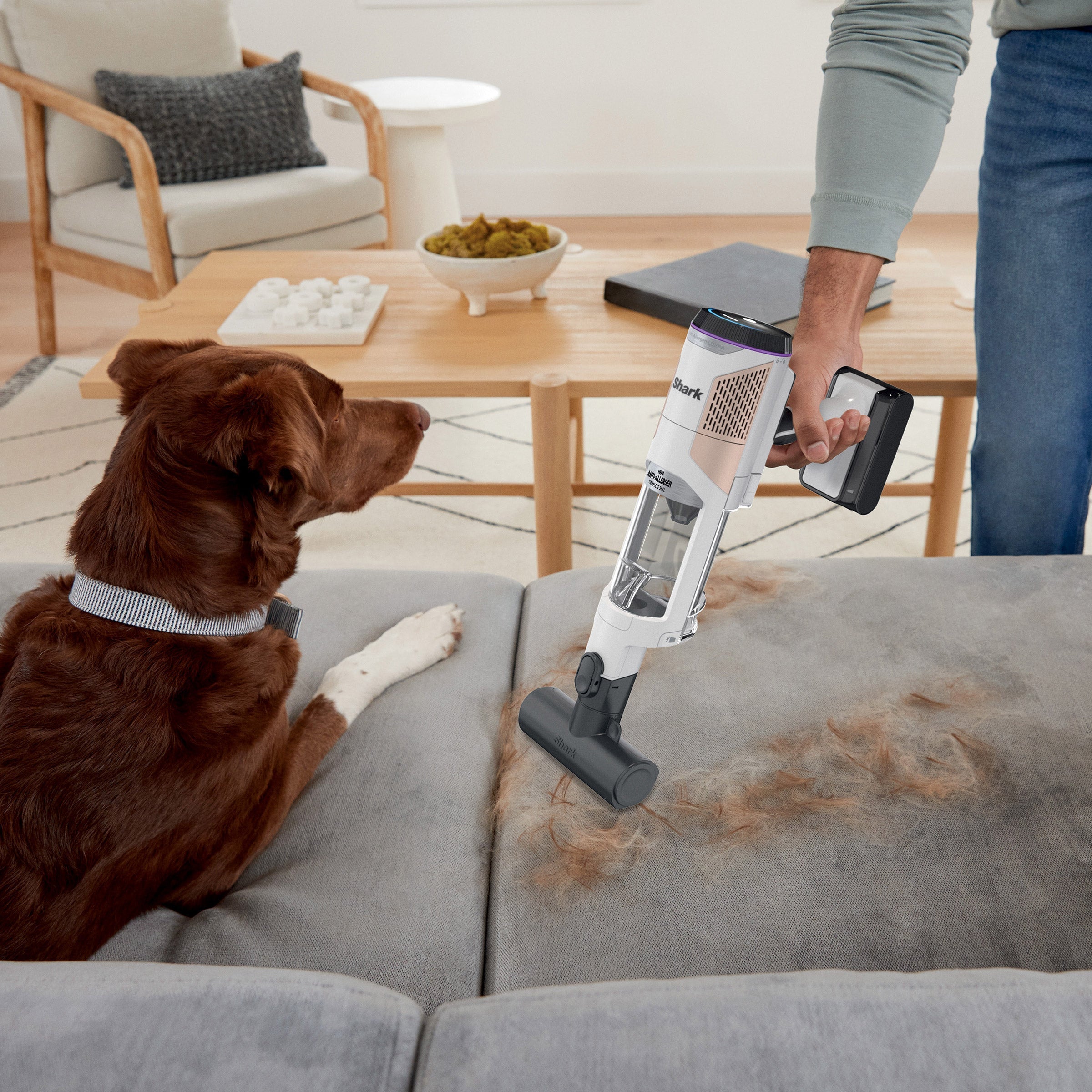 Cordless Detect Pro Stick Vacuum with Auto-Empty System